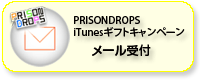 キャンペーン受付メール